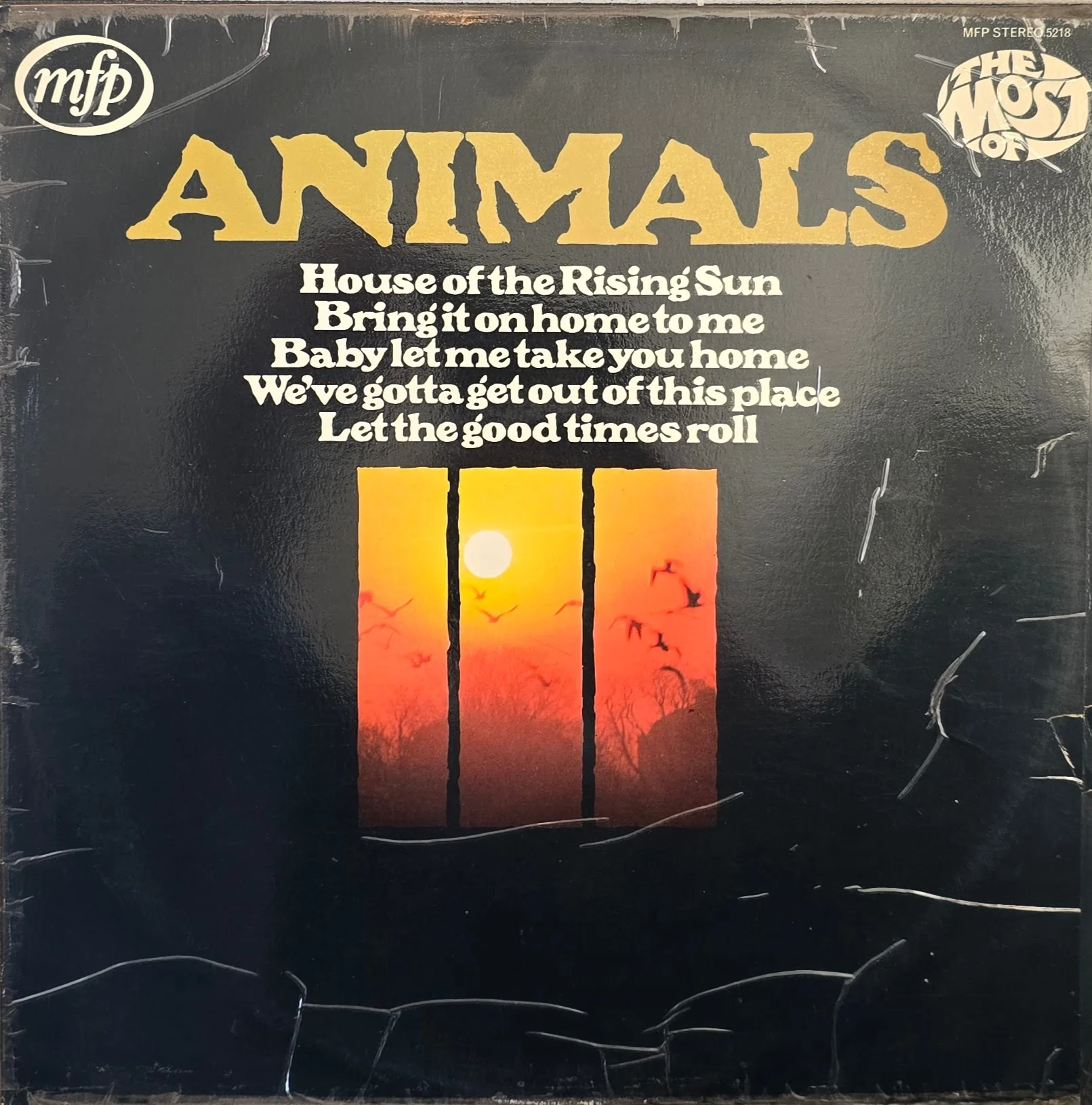Animals – The Most Of - Image 2