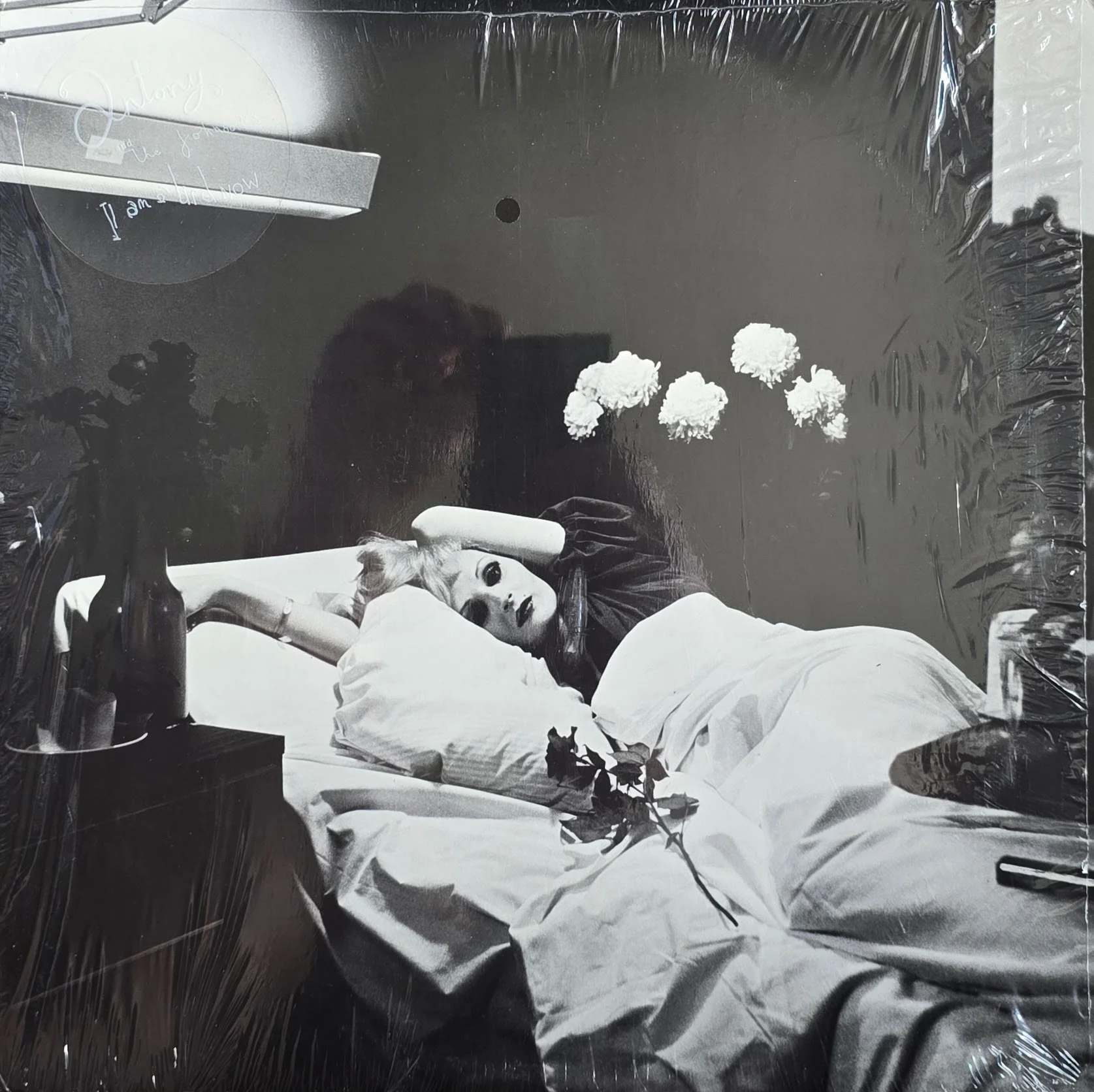 Antony And The Johnsons – I Am A Bird Now