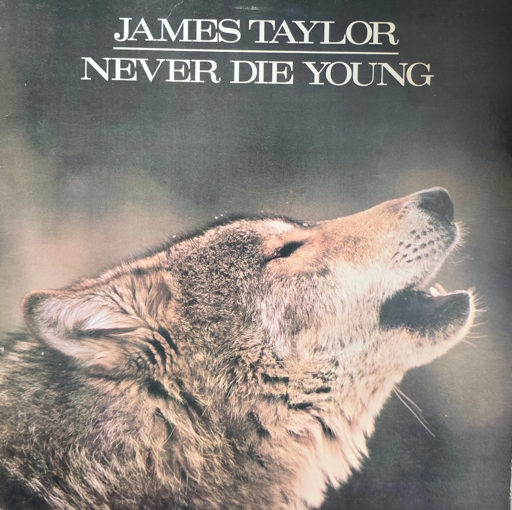 James Taylor – Never Die Young