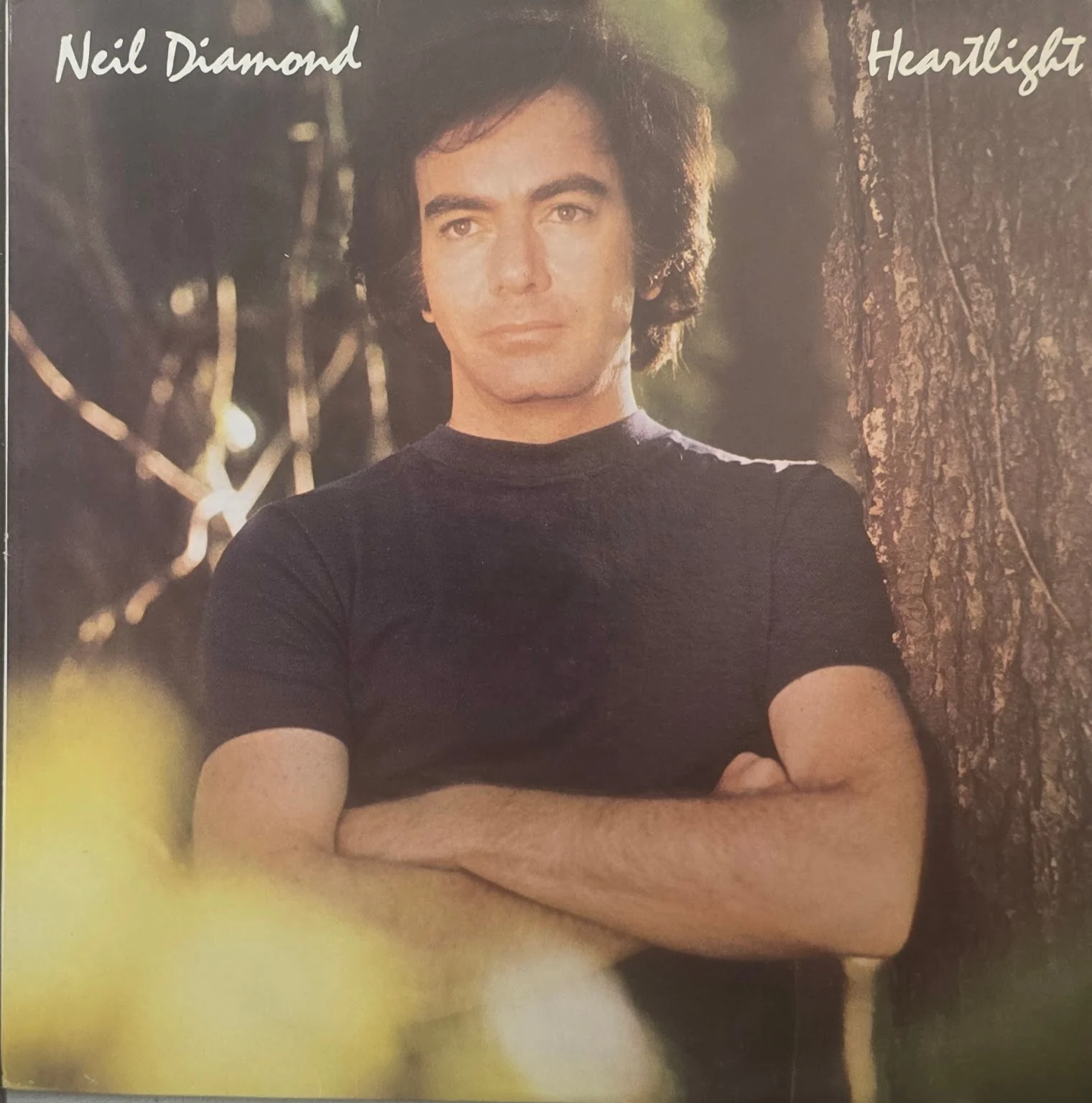 Neil Diamond – Heartlight