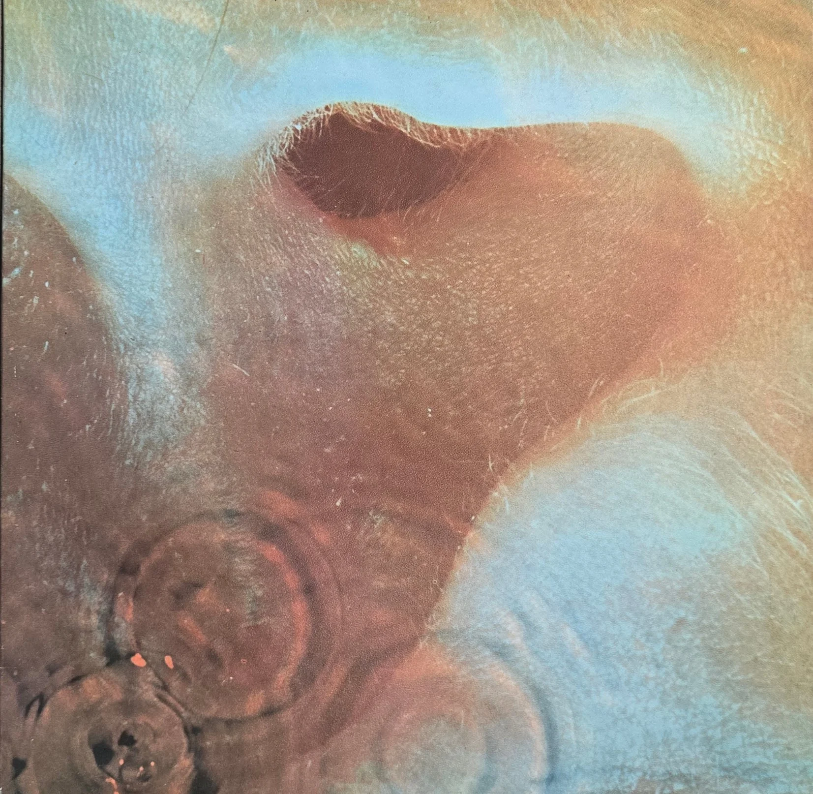 Pink Floyd – Meddle