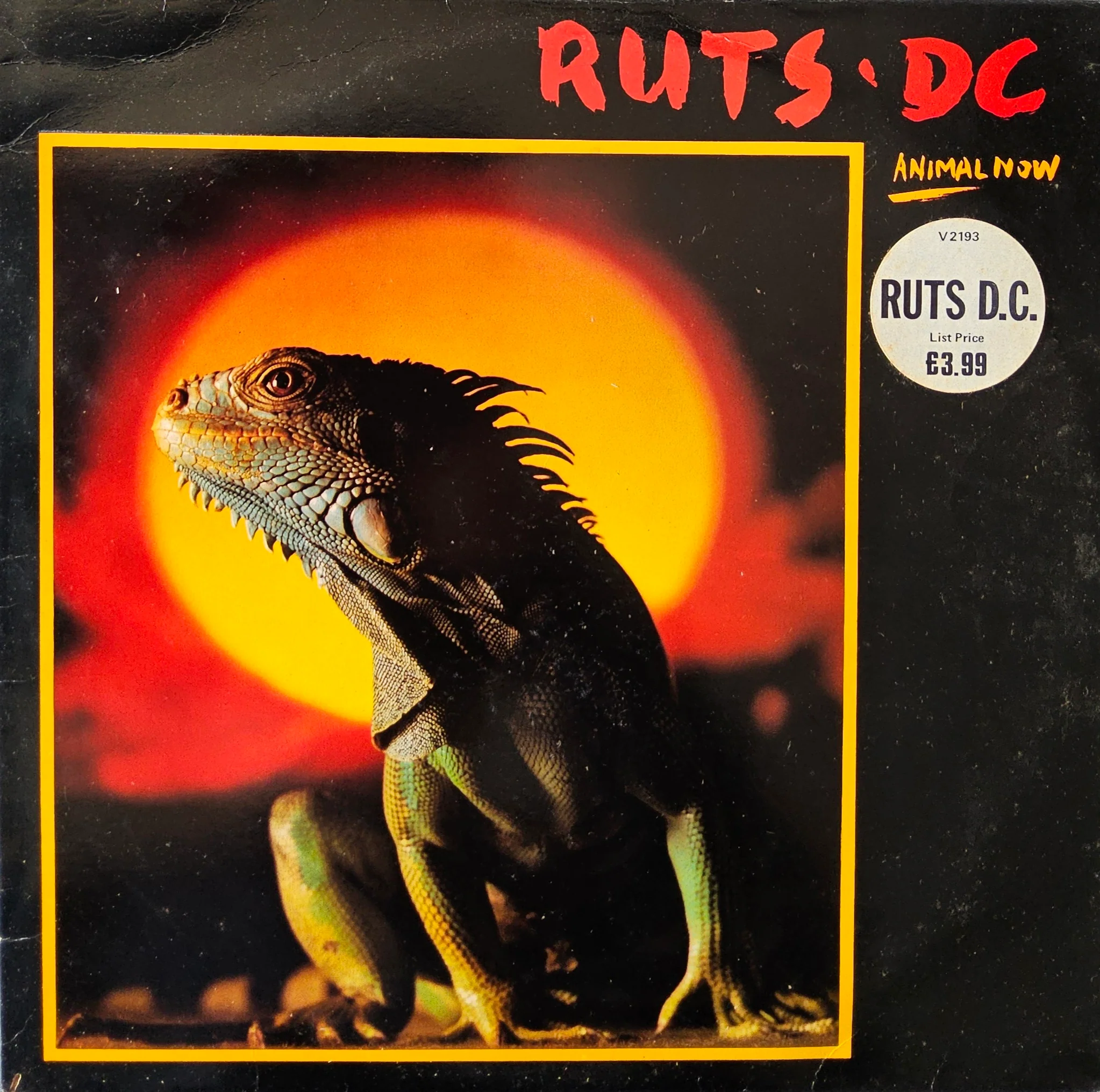 Ruts DC – Animal Now